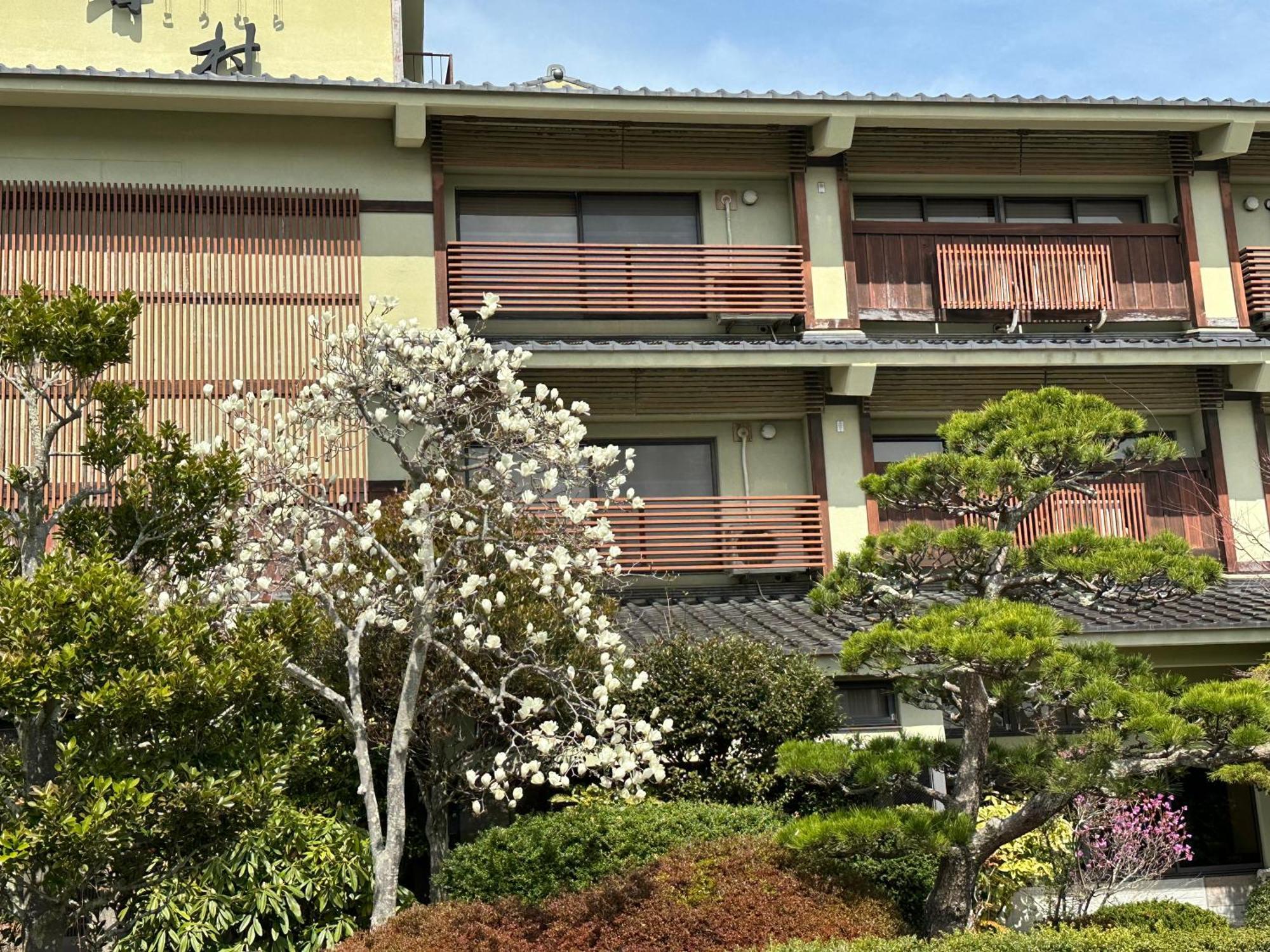 Matsushima Koumura Eksteriør billede